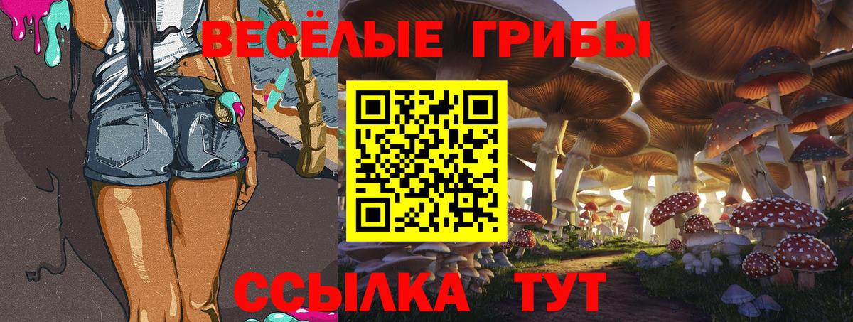 Псилоцибиновые грибы прущие грибы  Вход с VPN  Уссурийск 
